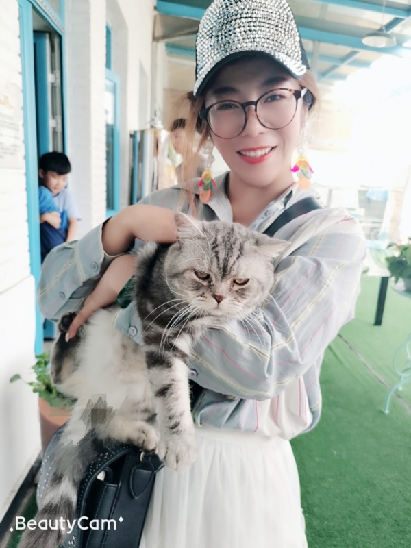 小黑猫的第一张照片--石狮相亲网