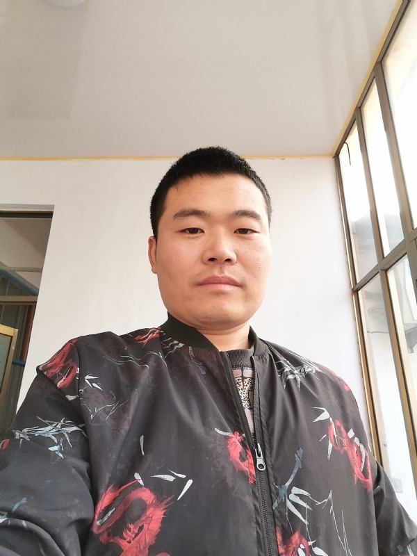 会飞的猪的第一张照片--石狮相亲网