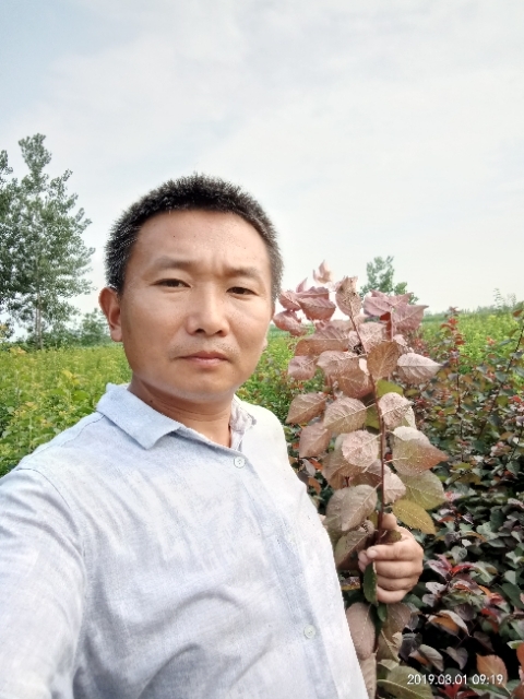 孩子爸的第一张照片--石狮相亲网