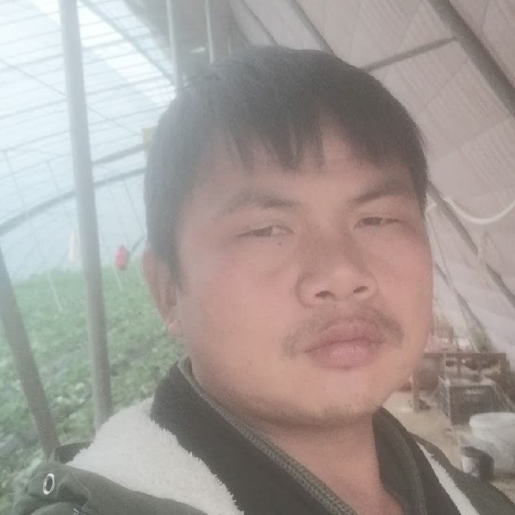 孤狼‘的第一张照片--石狮相亲网