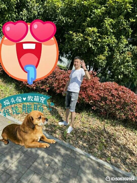 我若不坚强谁替我勇敢的第一张照片--石狮相亲网