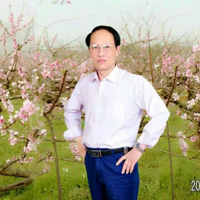 枫叶的第一张照片--石狮相亲网
